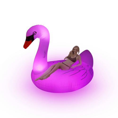 Swan Lighting Float